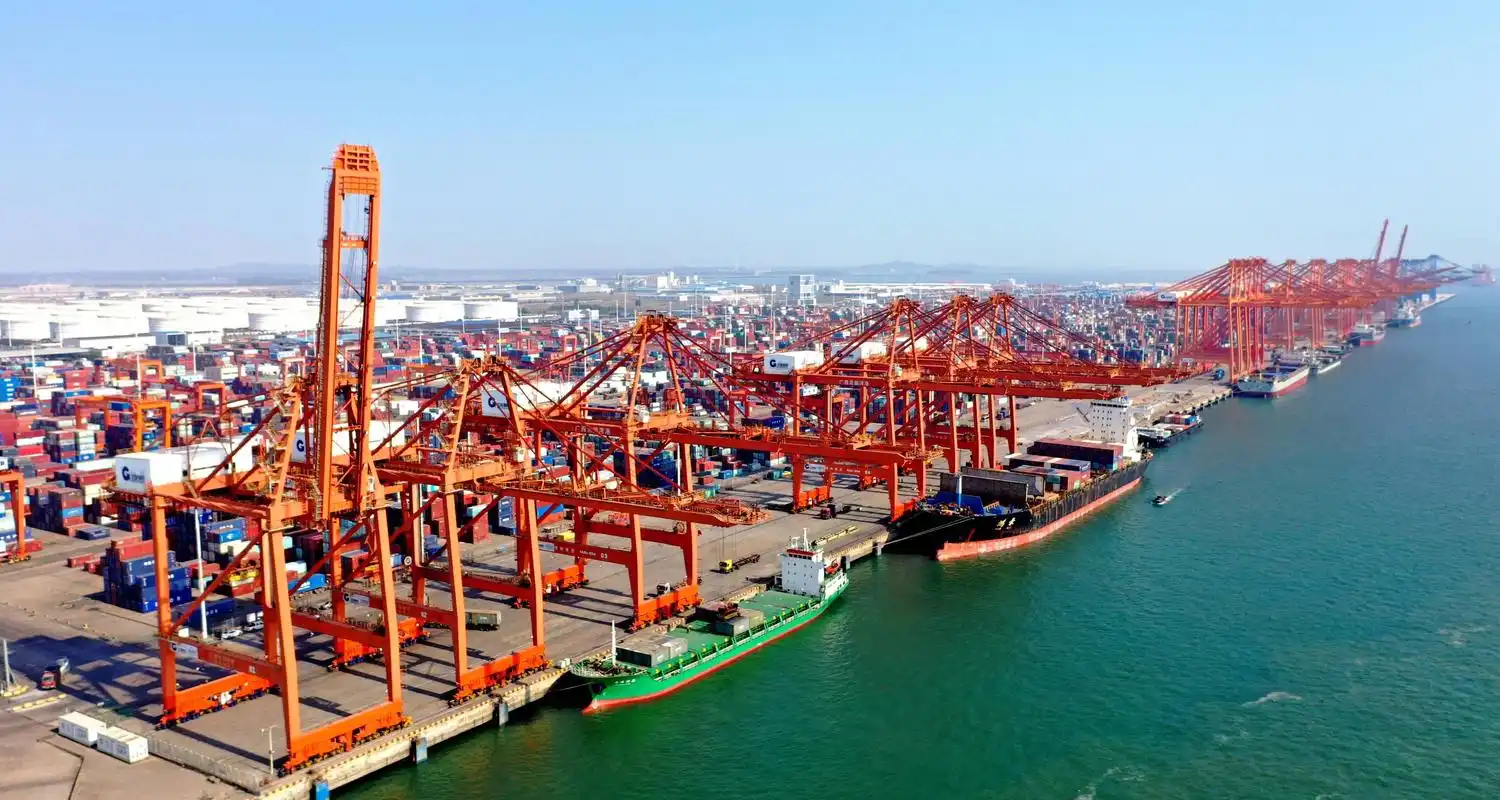 UAE Minister: China is an important engine for global economic development